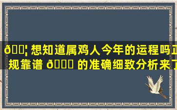 🐦 想知道属鸡人今年的运程吗正规靠谱 🕊 的准确细致分析来了！